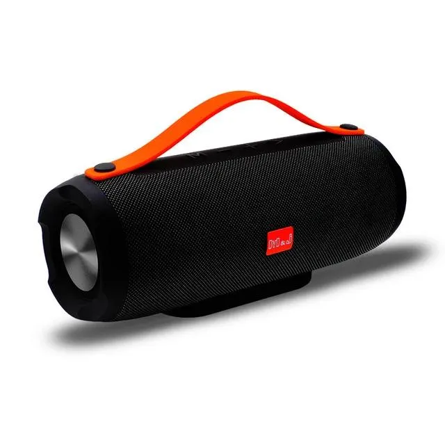 Bärbar Bluetooth-högtalare