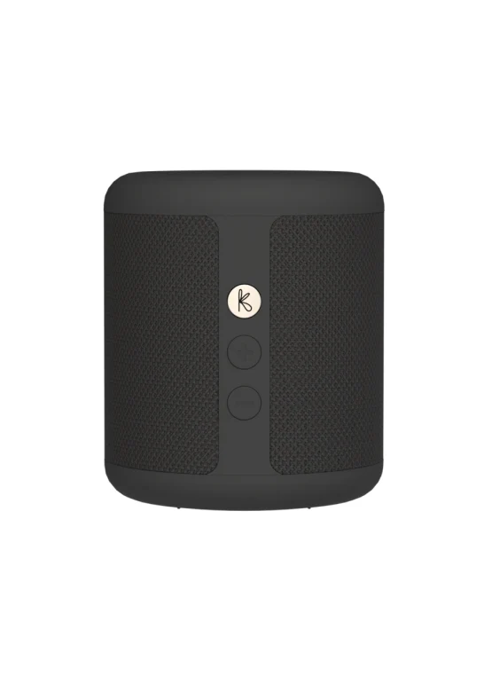 Karl Högtalare Bluetooth 5.1 Qi Svart